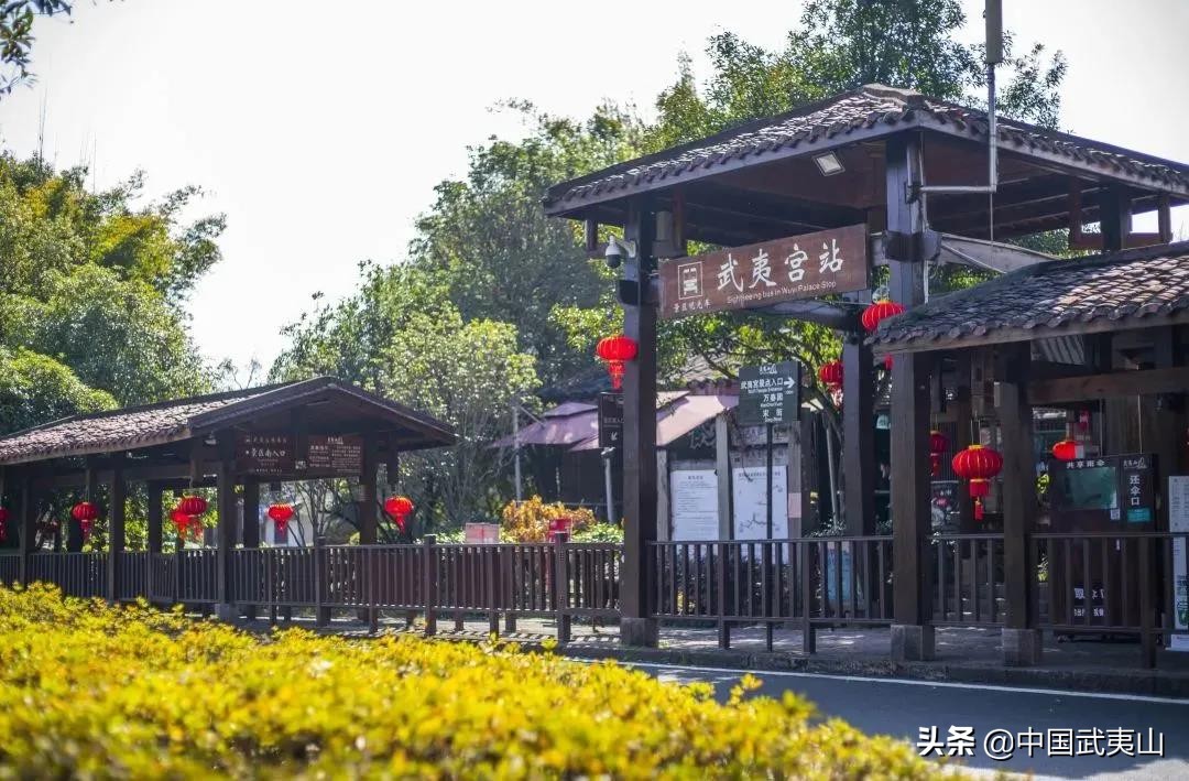 武夷山乘车攻略,武夷山景区交通线路图