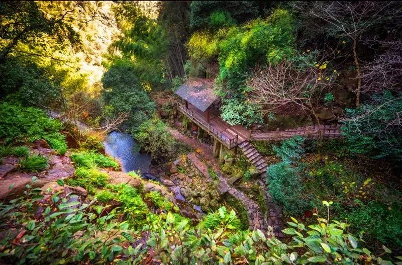 走进十大名山之天目山,松江这五座山你攀登过几处