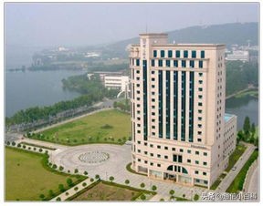 烽火大唐中国信科集团,中国信科集团与烽火通信的关系