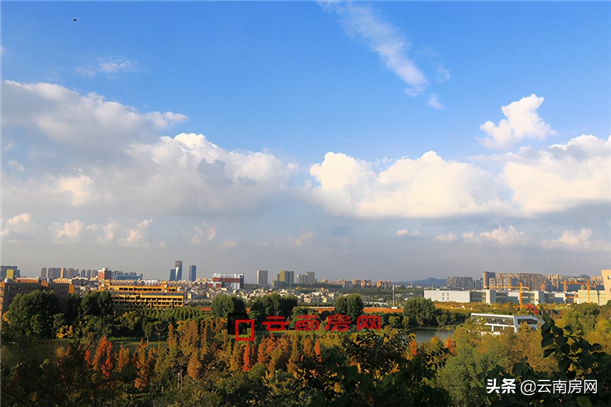 2020呈贡区人口,呈贡人口近几年变化