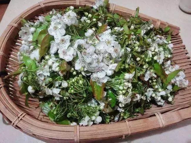 云南的花吃法大全,云南棕包花吃法