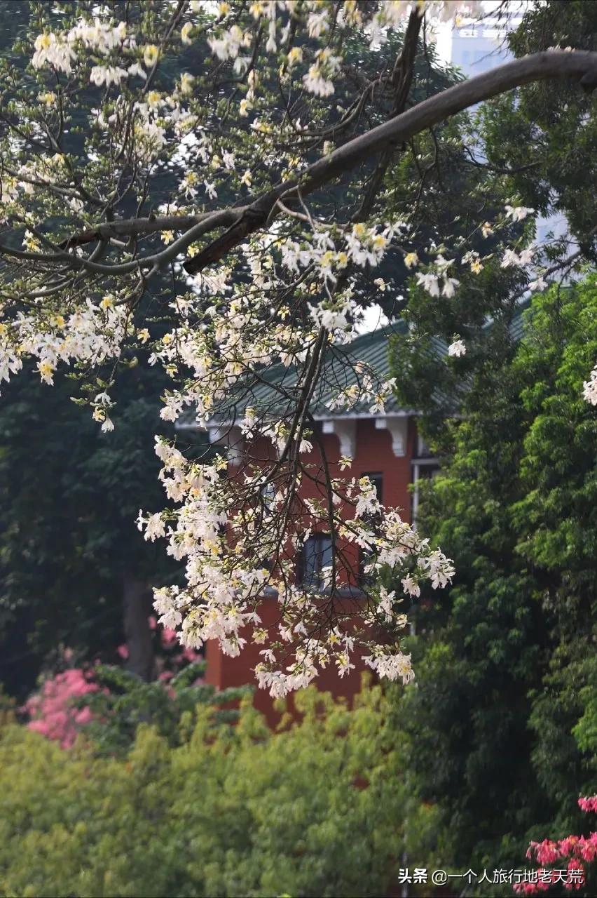 这才是12月最值得去的旅行地,11月12月去哪里旅游最美