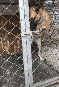 “你太低估了我的脚气，不知道还有没有救？”年轻总要付出代价