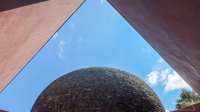 澳洲｜春意堪培拉，看袋鼠、品酒、赏花、住进动物的家