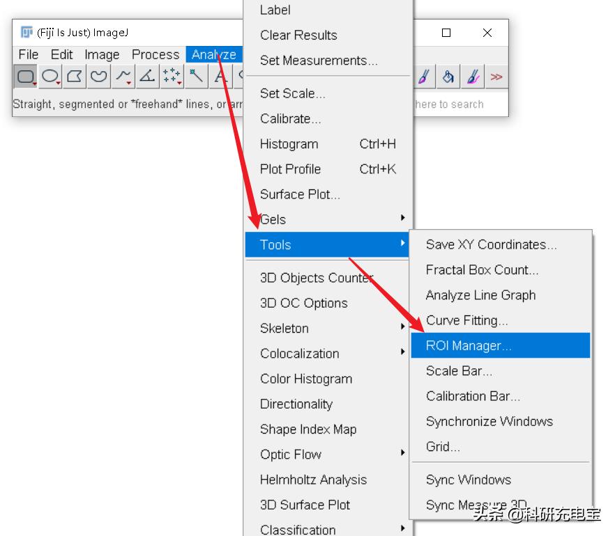 imagej标尺的位置,imagej自动选择区域