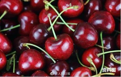 昆明劫匪被击毙,昆明事件被击毙歹徒背后的事情