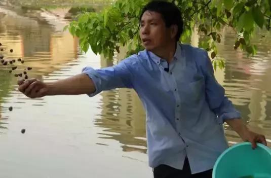 臭水塘变清水塘,臭水塘改导致景观