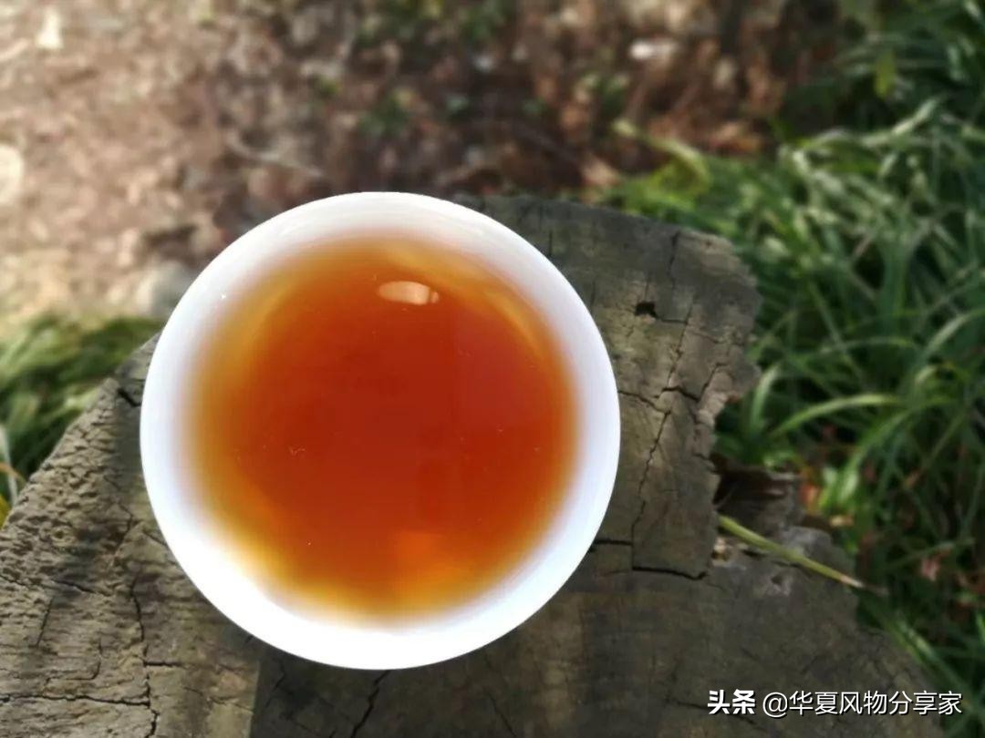 有请鼻祖｜新年第一件幸事，品一杯陆羽泡的茶