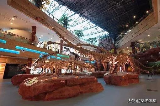 合肥景区免费景点,合肥旅游景点大全免费玩