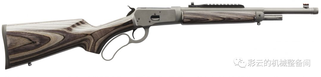 齐亚帕小獾式步枪威力有多大,齐亚帕战术步枪