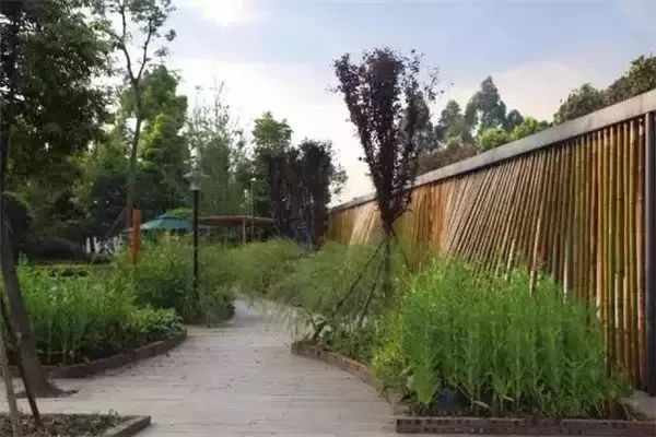 农村改造100个经典案例,乡村田园改造经典案例