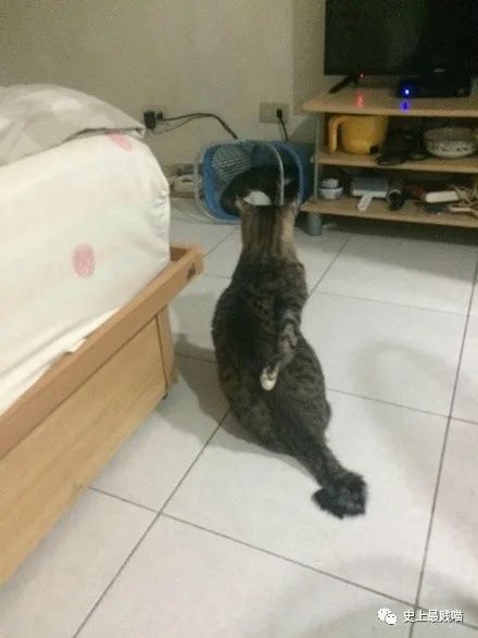 第一次看到把抖m说的这么清新脱俗的...实在太形象了哈哈哈哈哈！