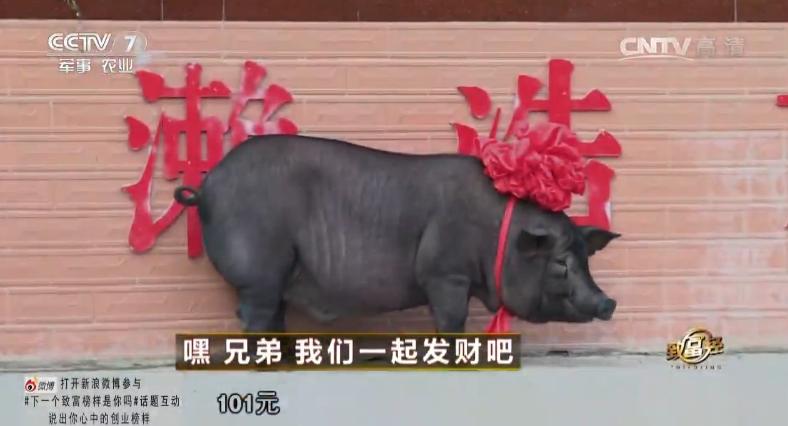 每个幻想暴富的中国人，都在这档节目里做过梦