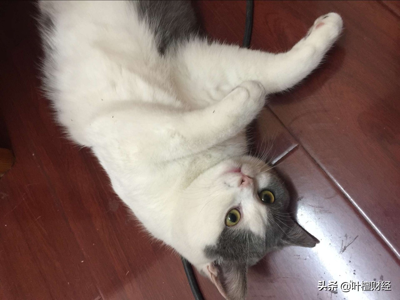 杀母骗保40万买房,弑母骗保买房