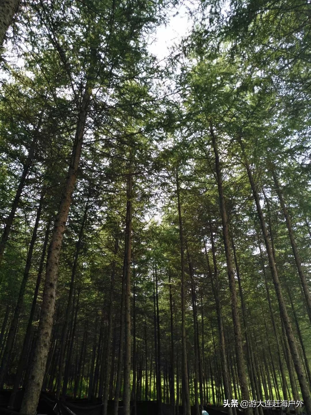 大连到庄河天门山怎么坐车,大连到天门山旅游攻略