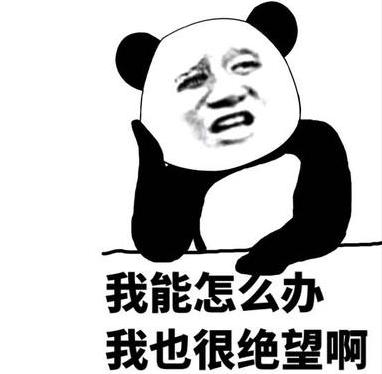 手机屏幕等级多少,手机屏幕分辨率极限