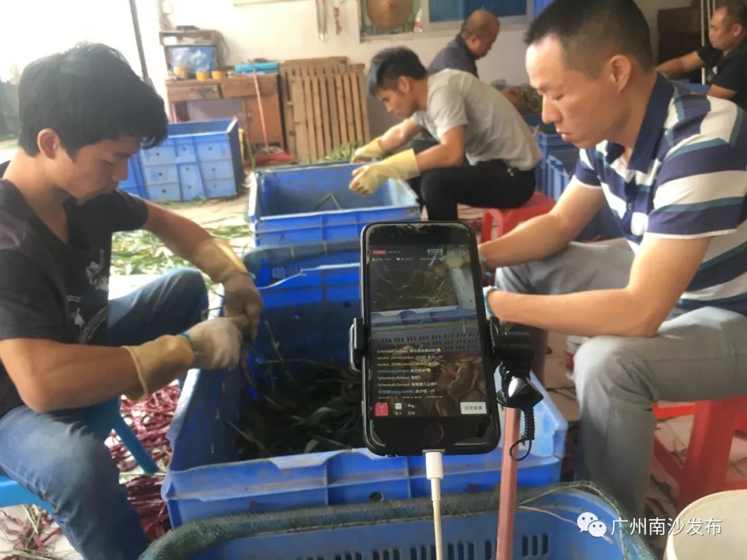 鲜活花盖蟹海鲜直播卖货,新鲜海蟹直播卖货