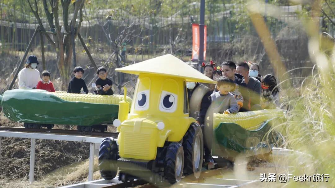 五一莫奈庄园一日游,五一不出游在家门口看风景