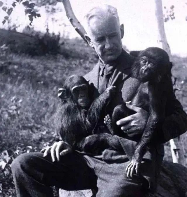 浜虹尶绻佹畺瀹為獙鎴愬姛浜嗗悧,浜虹尶绻佹畺瀹為獙