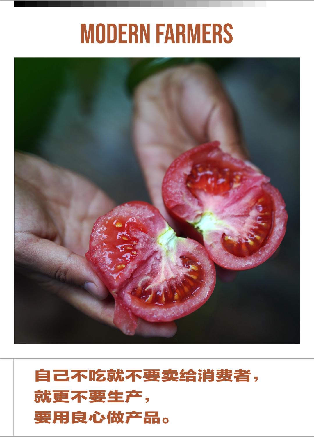 有机蔬菜需要了解哪一些,有机蔬菜基础知识