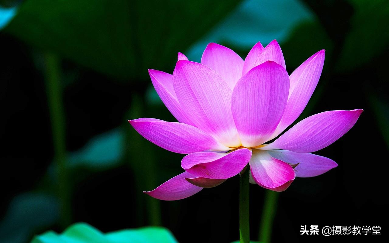 关于摄影的基础知识景深,摄影基础知识入门光圈