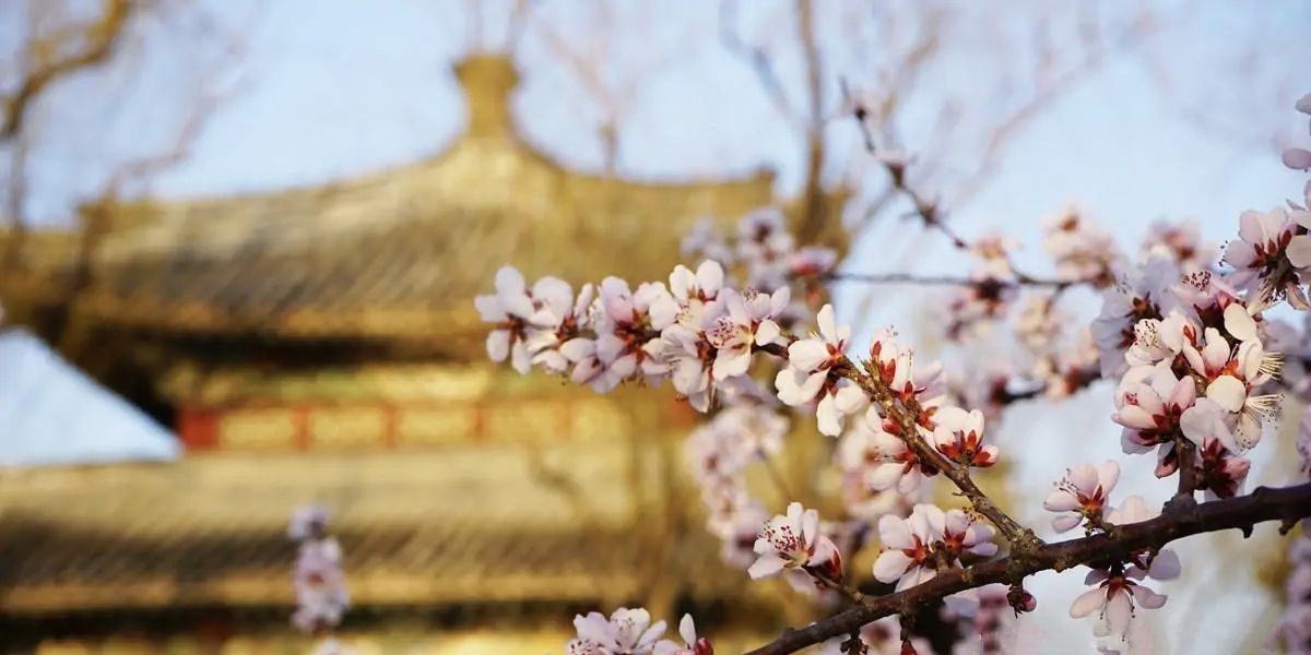 台湾大师讲易经,易经到底讲了些啥