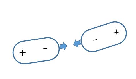 壁虎能飞檐走壁的原因是什么,壁虎为什么能飞檐走壁
