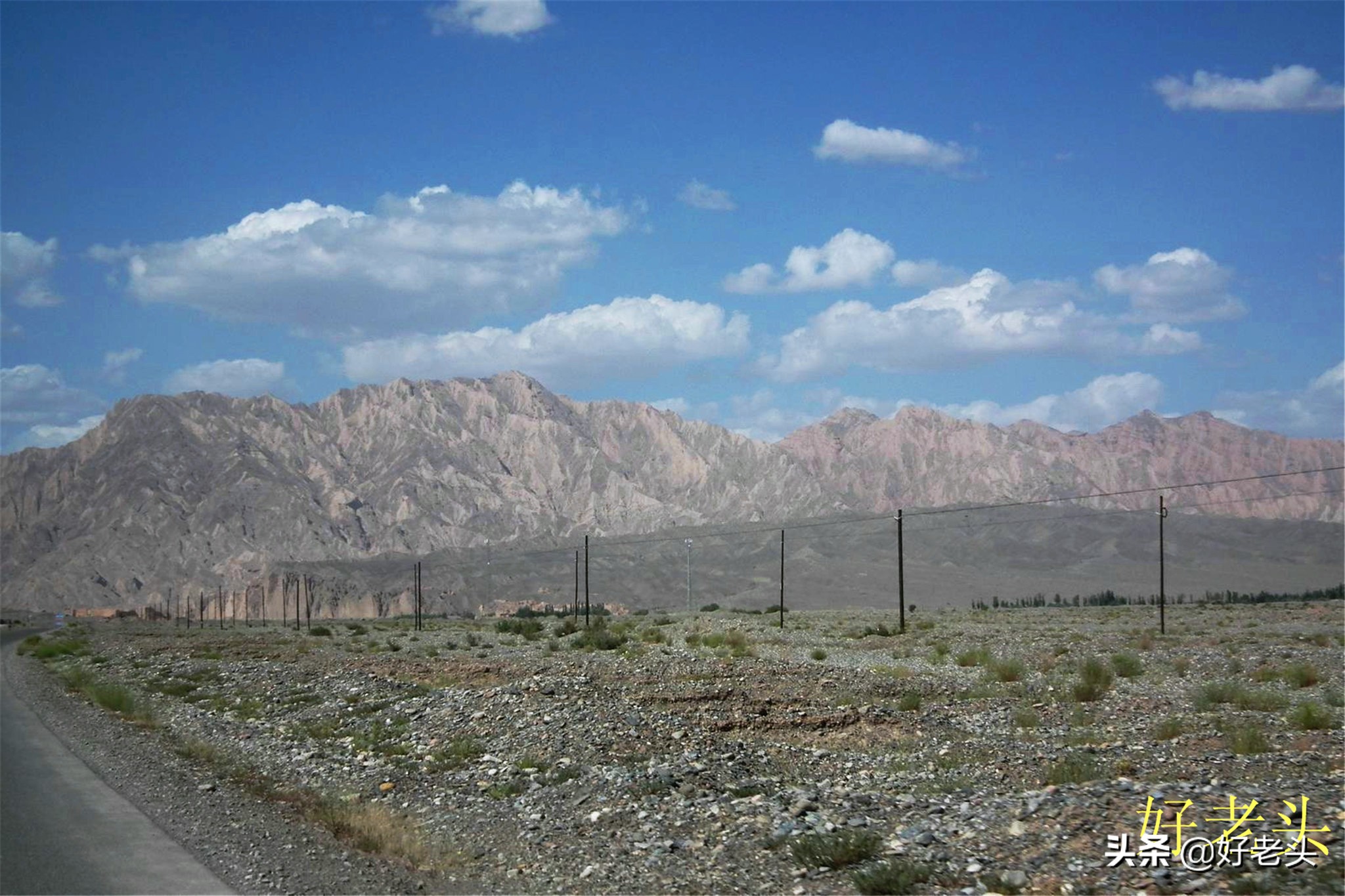 库尔勒轮台胡杨林风景区,胡杨林景区轮台