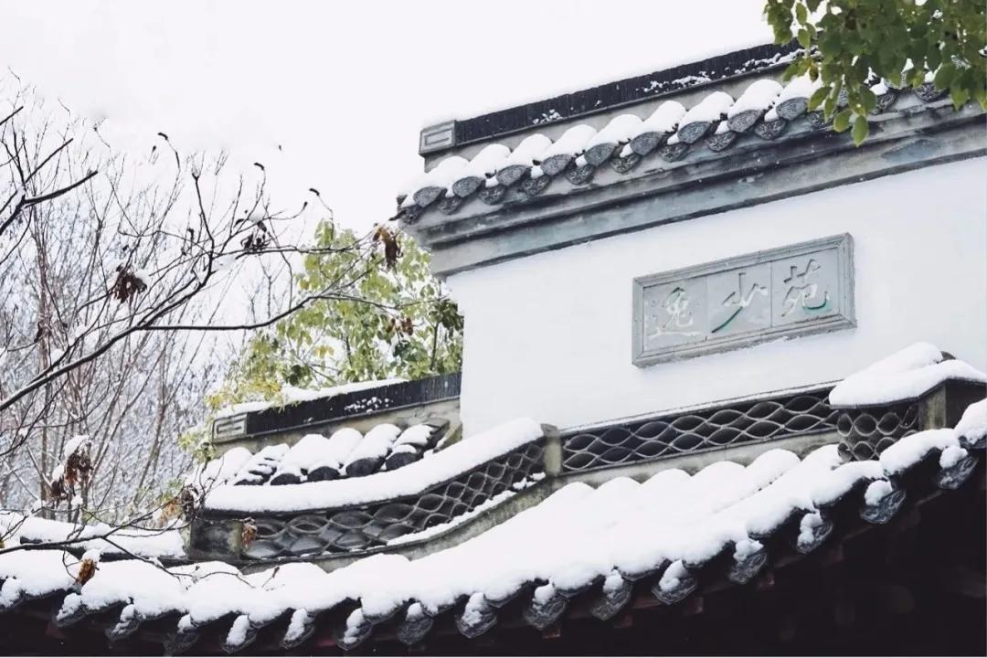 南京金陵小学仙林学费,南京市金陵小学仙林湖校区学费