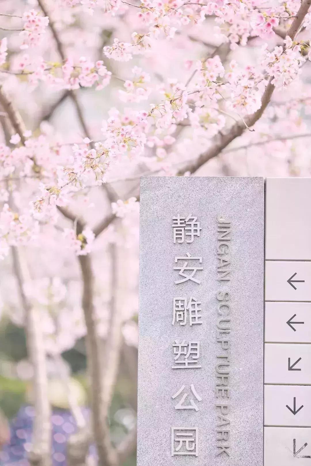 五月份上海有什么新消息,上海4月份有哪些消息