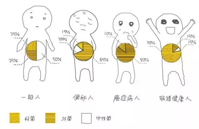 疫情蔓延，免疫力提高是关键！益生菌的秘密你应该要记住