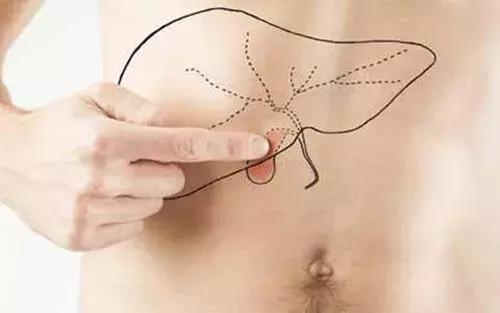 下身胖竟然是肝胆不好？你哪个部位胖？请对号入座