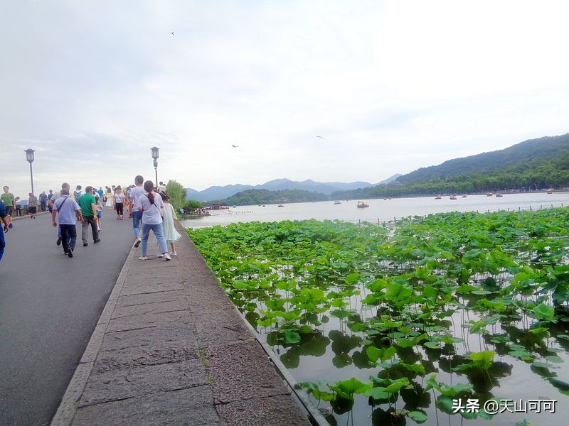 西湖一日游西湖景色到底有多美,再说一遍西湖之美