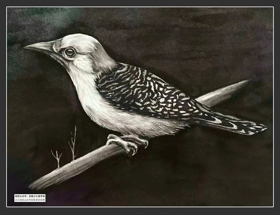 素描绘画素材9-12岁,素描基础绘画教程创意素描