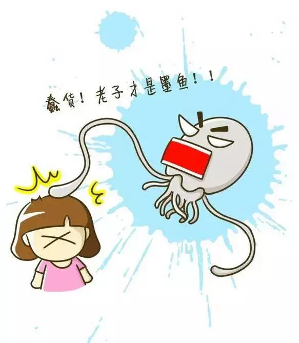 章鱼鱿鱼乌贼傻傻分不清,章鱼鱿鱼乌贼这三样有什么区别