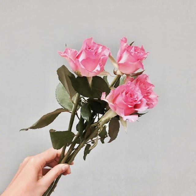 几句让你瞬间成长的句子,真正让你成长的语录