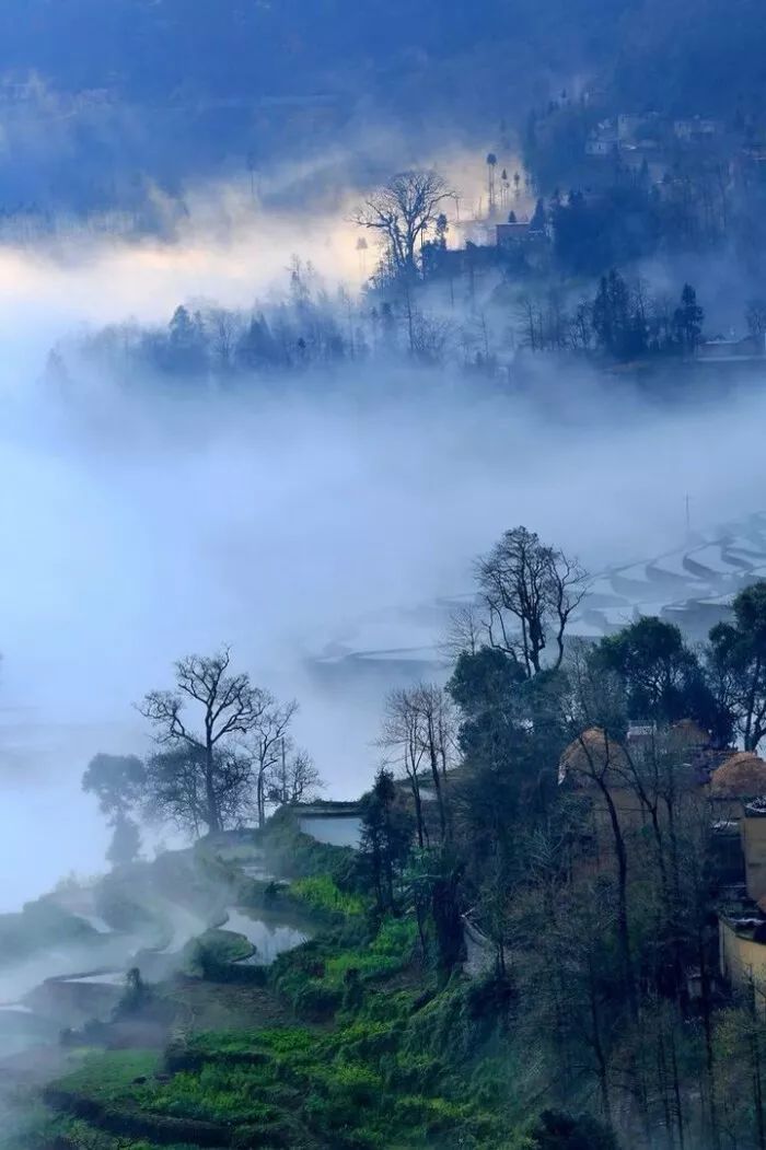 无法形容的颜色,无法形容的清香