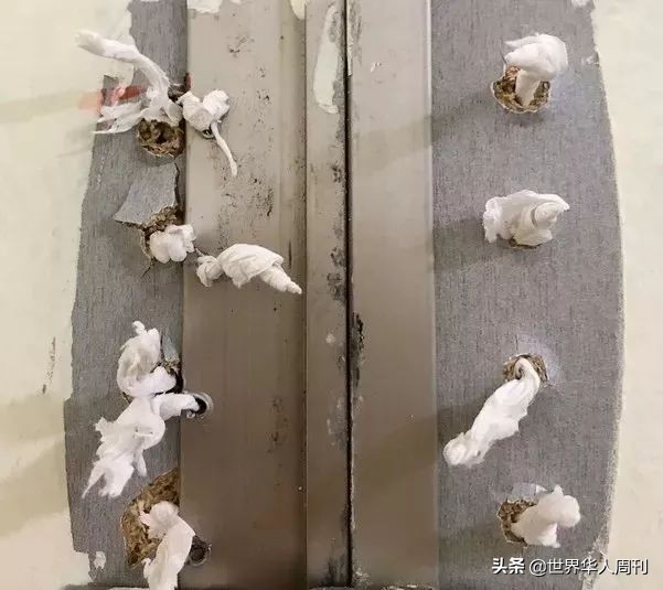 不敢上厕所，不敢住酒店，你永远不知道韩国的*拍偷**有多变态…