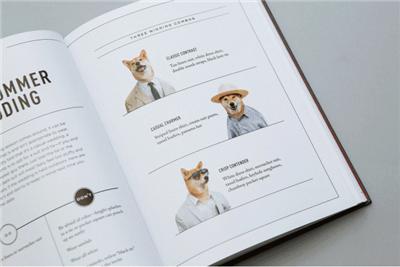 成熟狗狗穿搭,狗界王老五的时尚型穿搭示范