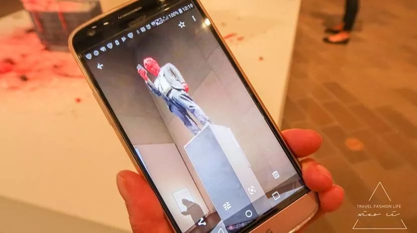 澳洲｜春意堪培拉，看袋鼠、品酒、赏花、住进动物的家