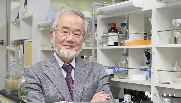 日本癌症十年生存率统计表,日本癌症患者的10年生存率