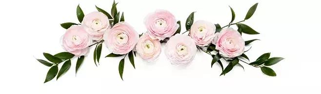 「倒叙·分享」婚庆小百科，婚礼捧花大学问你知道吗？