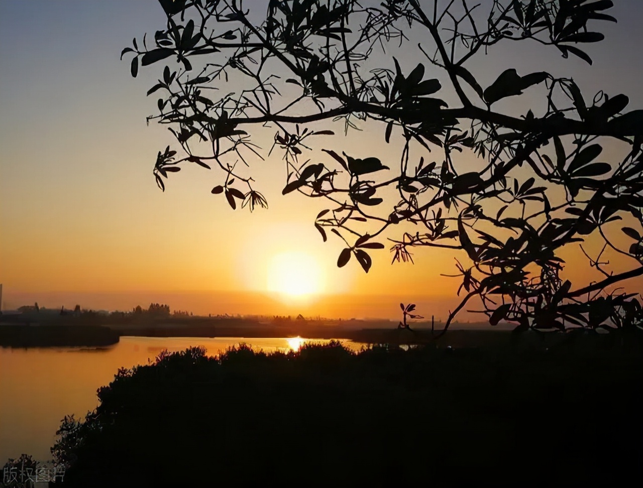 宋词经典赏析100首,绝美的十五首宋词欣赏