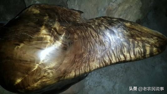 俗语：宁烧紫檀，不舍阴沉木，为啥？阴沉木很贵吗？如何辨真假？