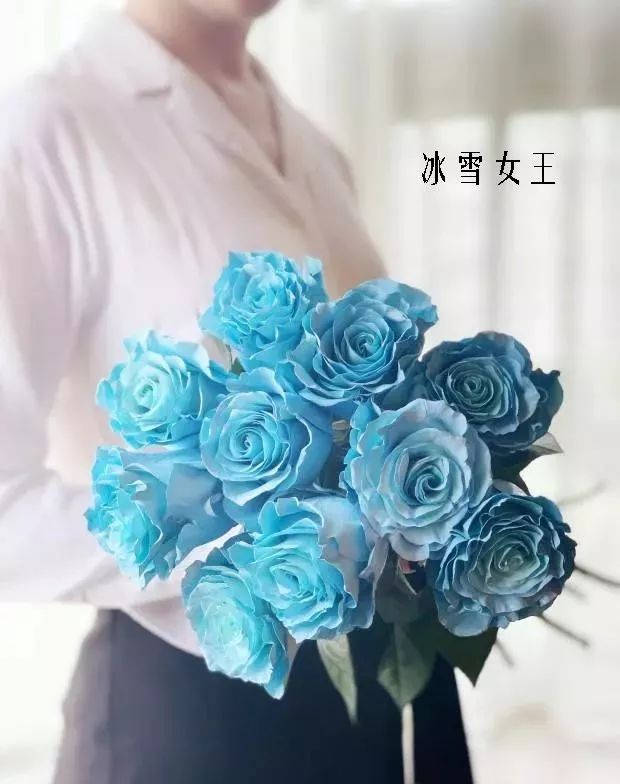 花店里同款的两种不同价格的花材,花店最容易被顾客误解的几种花材