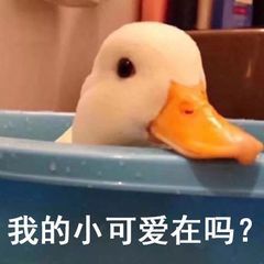 微信好友怎么批量检测是不是好友,怎样快速检测微信是不是好友