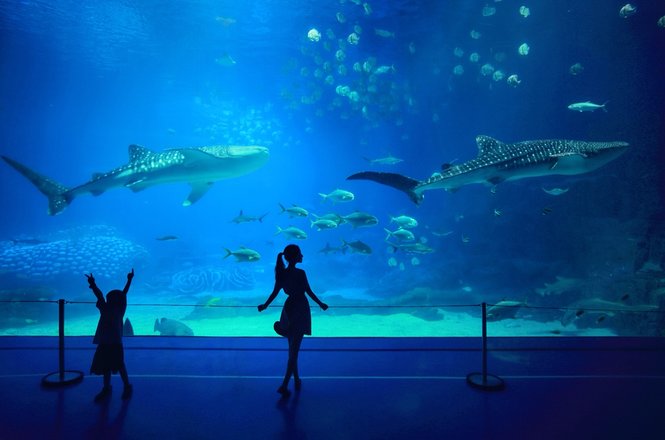 珠海一日游去哪玩,去珠海玩住哪里好