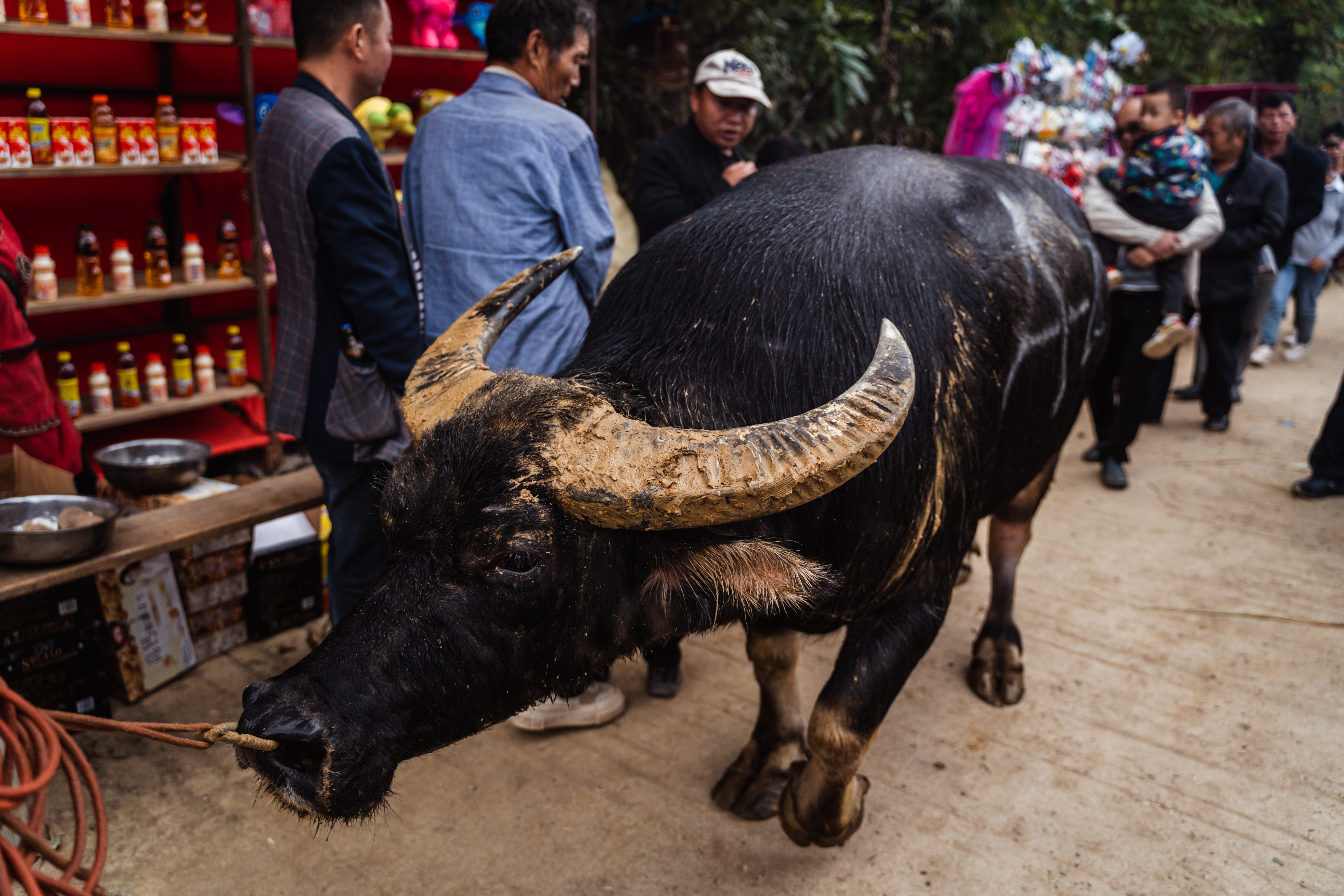 贵州人少景美的小村寨,贵州特点寨子