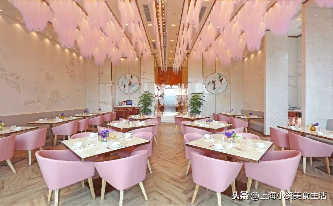 大锦鲤top店,大锦鲤适合吃的鱼食