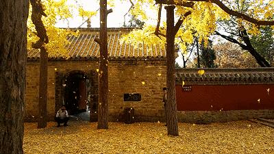 秋天的风景是如此的让人迷醉,秋天的美景个个都让人惊艳